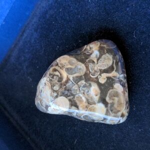 Raw fossil quartz and ocean jasper (?) stone, healing crystal